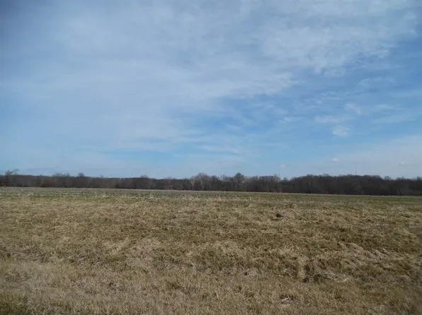 TRACT 2 N McDermott Ln, Mount Vernon, IL 62864