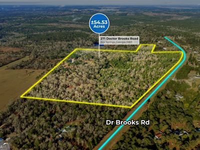 271 Dr Brooks Rd, Box Springs, GA, 31801