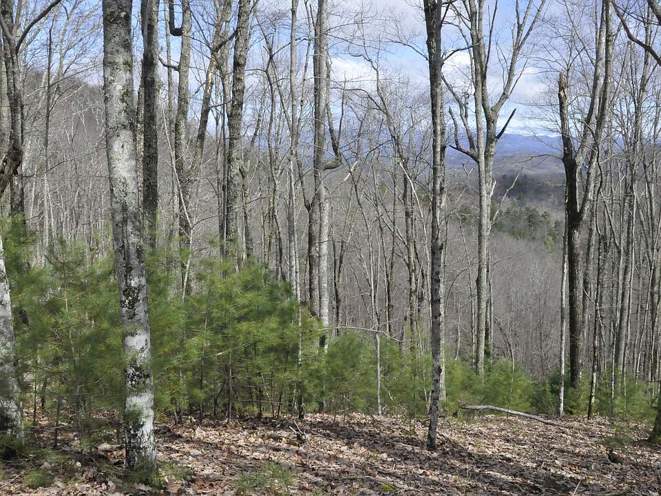 2nd image of Beaver Gap Rd