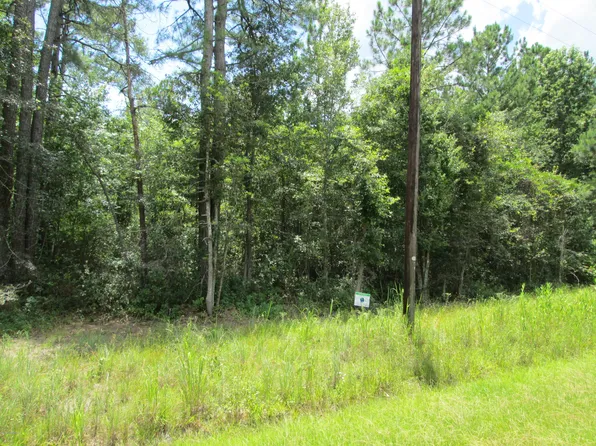 Tbd Tillman Road, Ridgeland, SC 29936