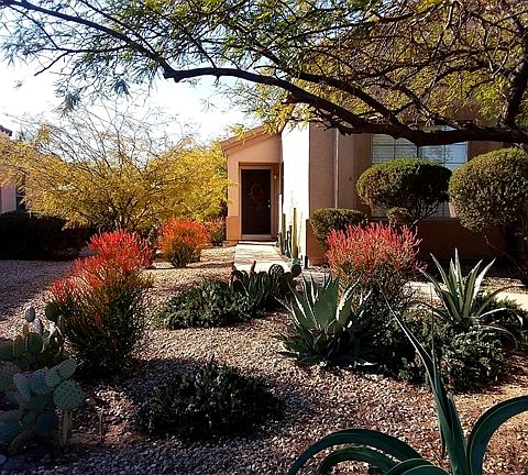 Front Yard Fall 2