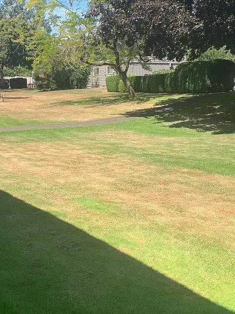 large yard area between buildings