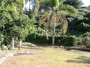 Huge backyard approx. 10,000 sqft