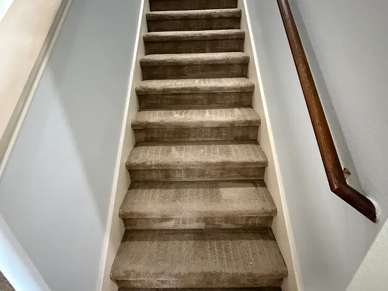 2417 Forest Creek Dr — Photo 13
