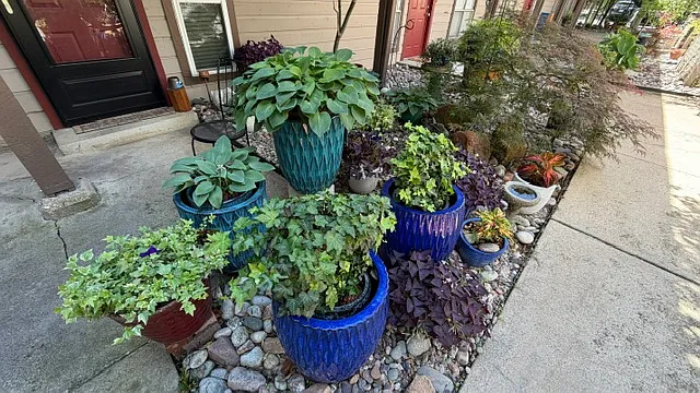 4239 McKinney Ave #101 — Photo 9