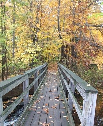 Flatrock Brook Nature Center