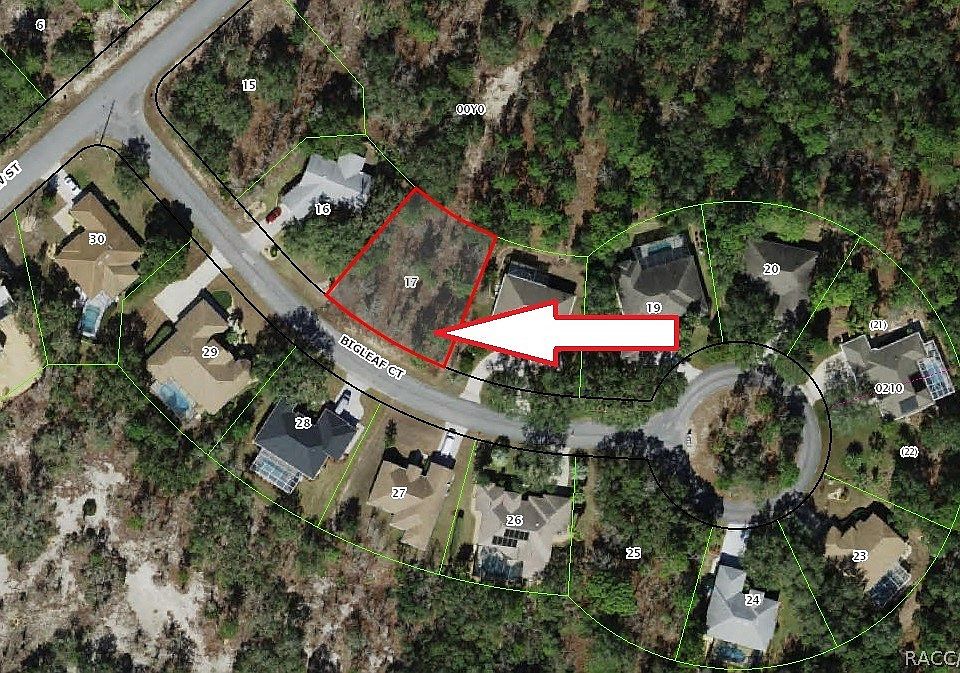 1st image of 6 Bigleaf Ct