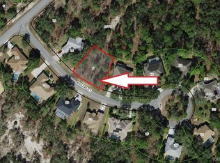 6 Bigleaf Ct, Homosassa, FL 34446