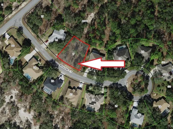 6 Bigleaf Ct, Homosassa, FL 34446