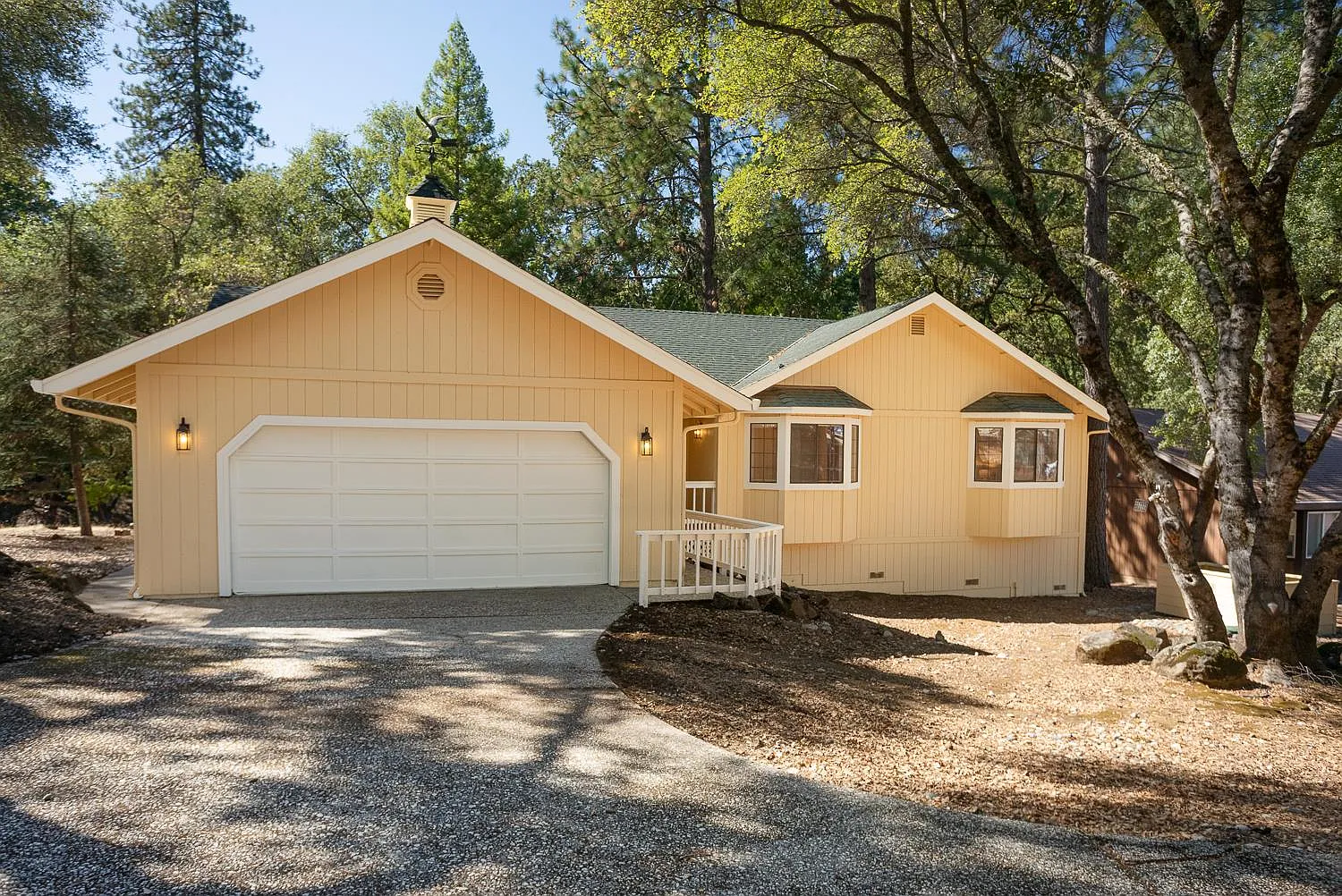 12858 Golden Trout Way photo 1