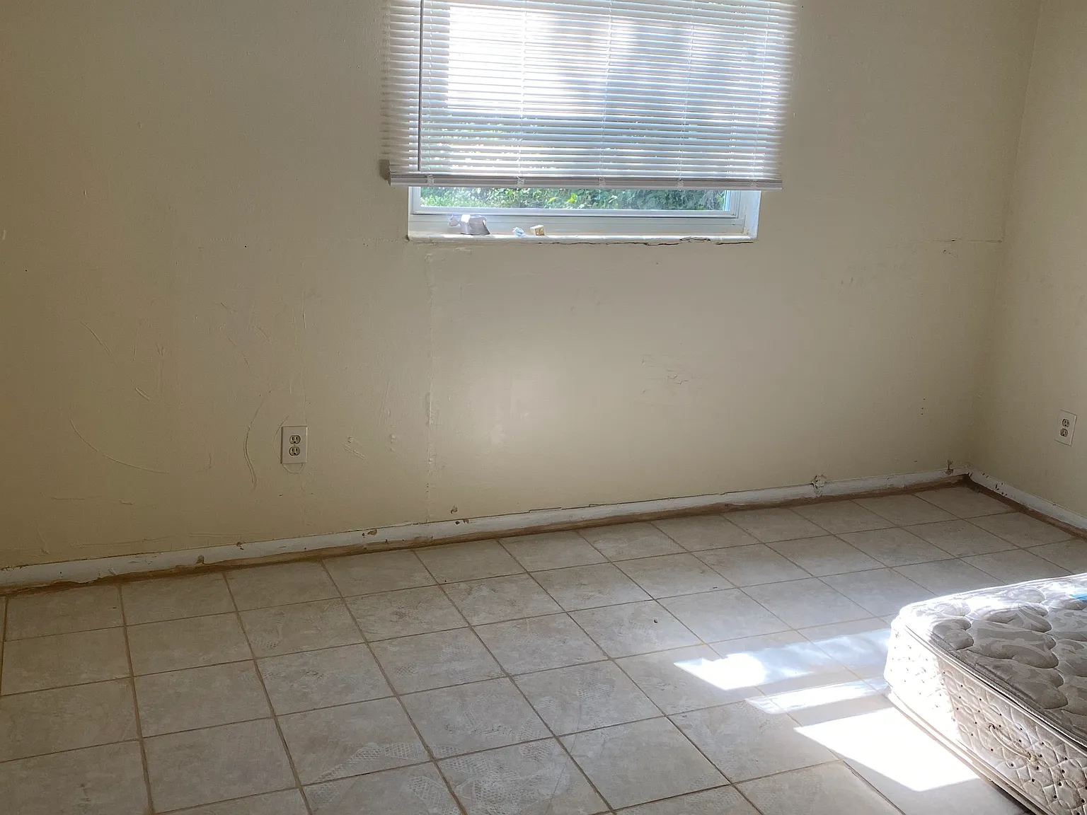 3 bed, 769 sqft, $1,350 — Photo 4