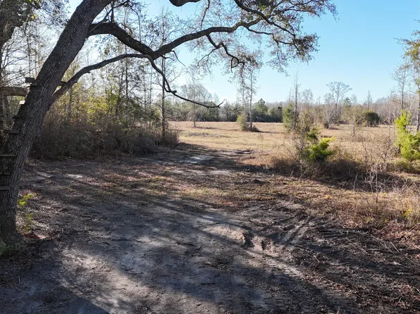 3120 Mount Olive Rd, Bonifay, FL 32425