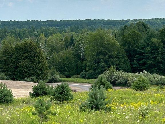 3rd image of Cook Rd
