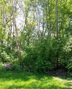 27 Sunset Dr, Oakwood, IL, 61858
