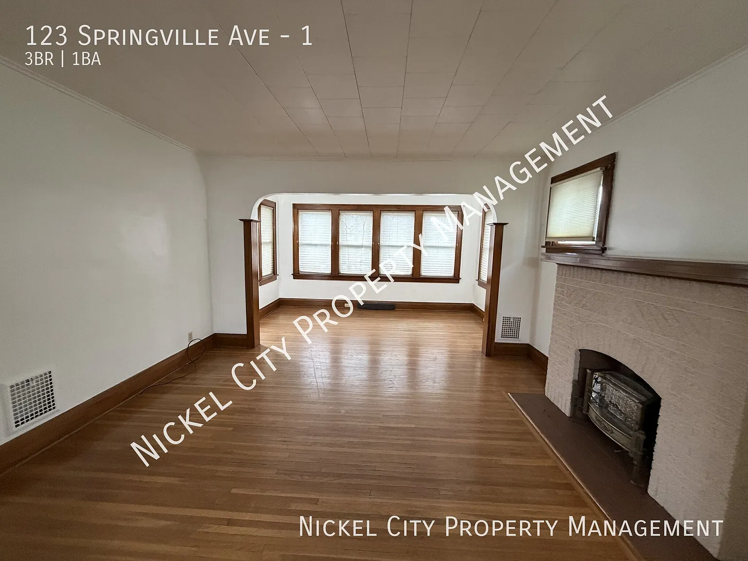 123 Springville Avenue - Lower Unit — Photo 4
