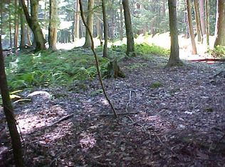 Deighton Rd, Damascus, PA 18415