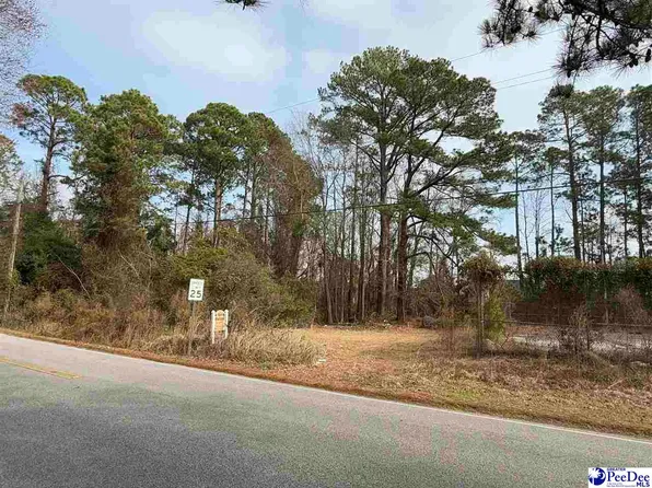 Stratton Dr, Florence, SC 29501