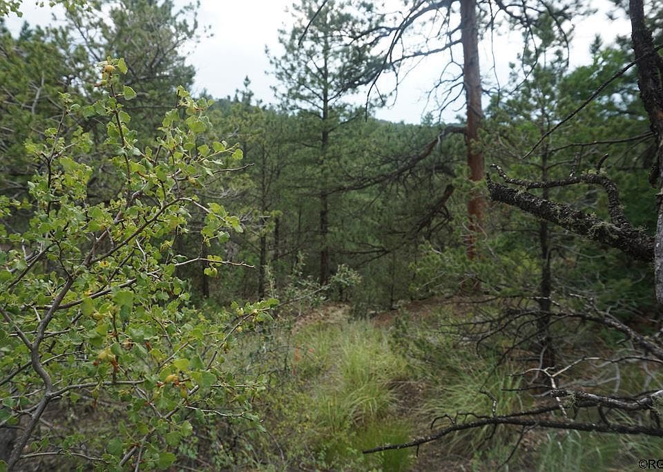 1st image of 761 Texas Creek Ln