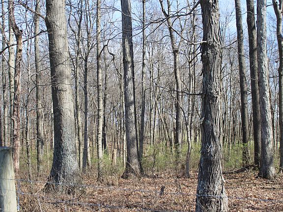 5th image of 1474 Poindexter Rd