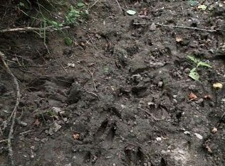 5261 Calhoun Rd, Beaverton, MI 48612