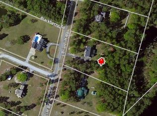225 Briarcliff Rd, Swainsboro, GA 30401