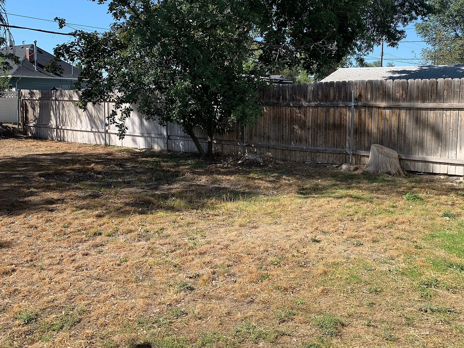 421 Ash St — Photo 4