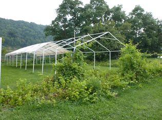 166 1st St, Powhatan Point, OH 43942