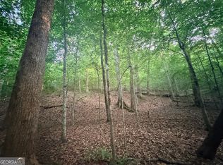 6 Bunch Rd, Tignall, GA 30668