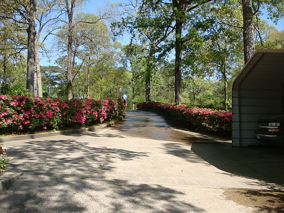 Looking Up Drive