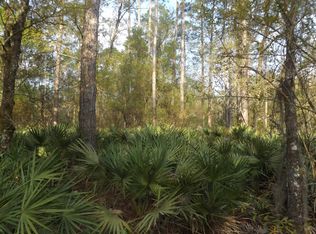 10165 Delgado Ave, Hastings, FL 32145