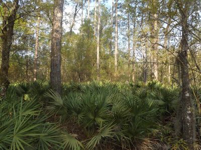 10165 Delgado Ave, Hastings, FL, 32145