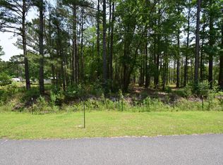 111 Brians Woods Rd, Maple Hill, NC 28454