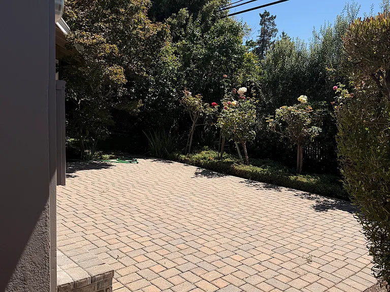 Another view of back yard