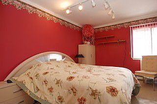 3rd image of 1810 Hemlock Pl APT 203