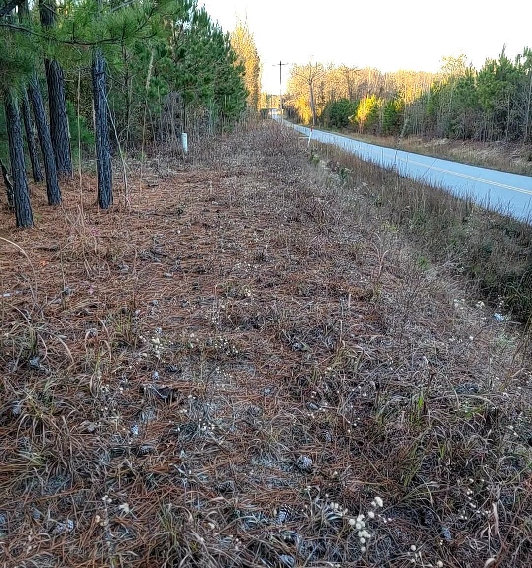 637 Tremble Branch Rd, Camden, SC 29020 Zillow