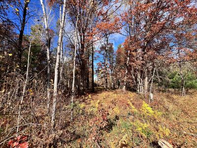 Tbd E Clark Lake Rd, Nisswa, MN, 56468