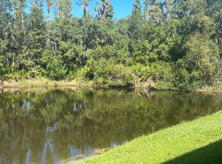 30033 Granda Hills Ct, Zephyrhills, FL 33543