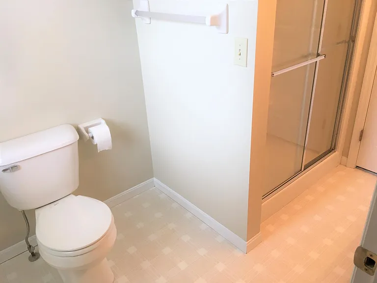Master bath commode