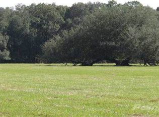 724 Old Welcome Rd, Lithia, FL 33547