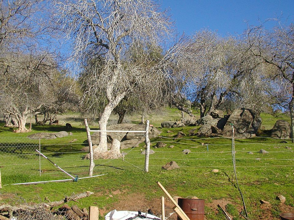 Looking toward pasture land from the house
