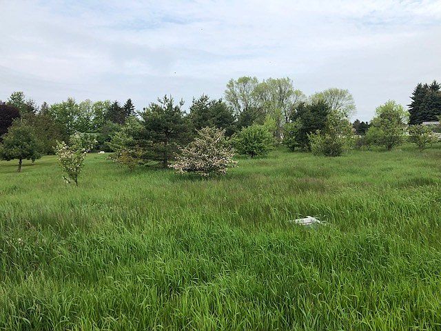 2nd image of 3900 Lorraine Dr
