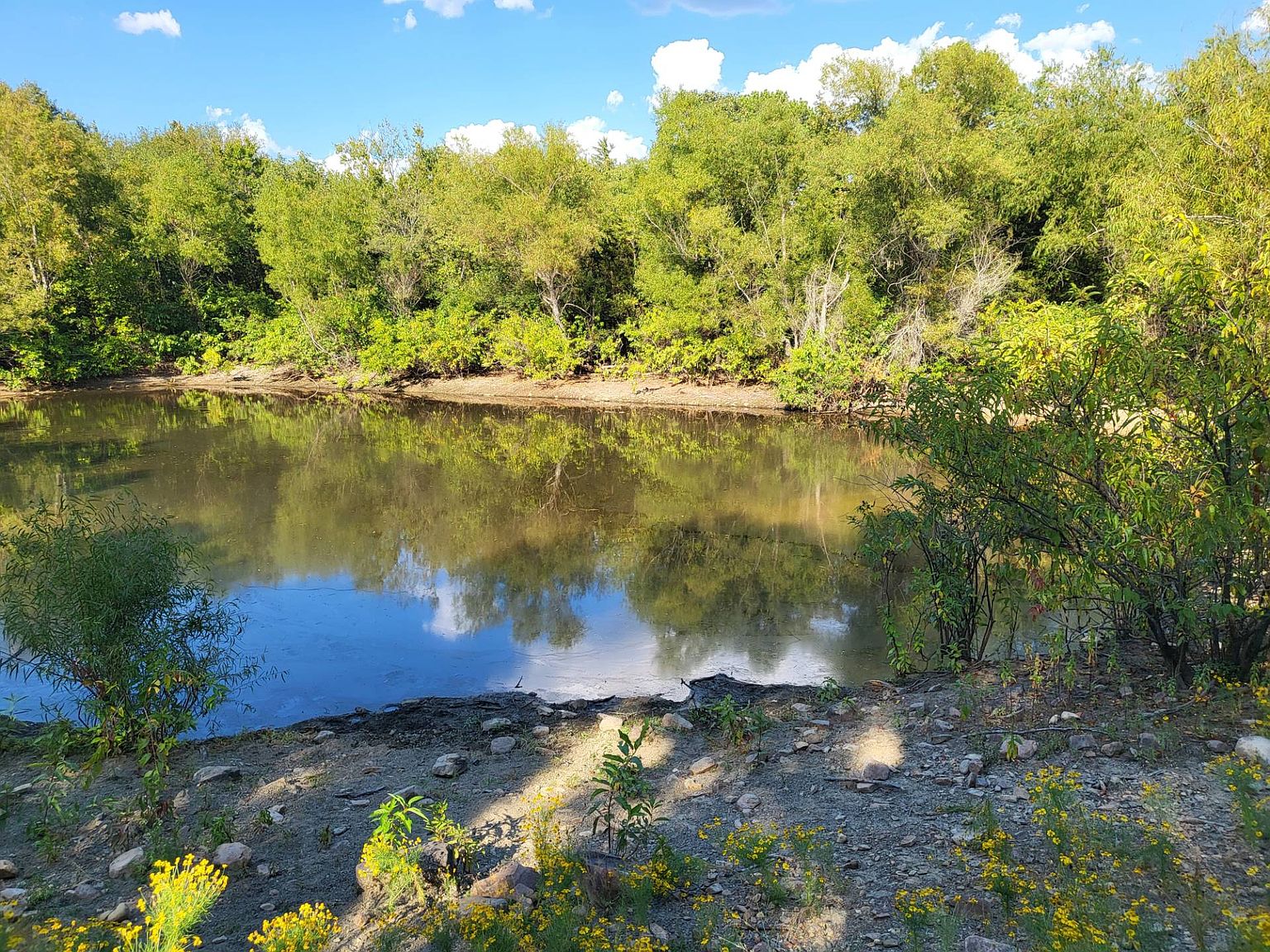 111111 Buddy Remy, Oilton, OK 74052 Zillow