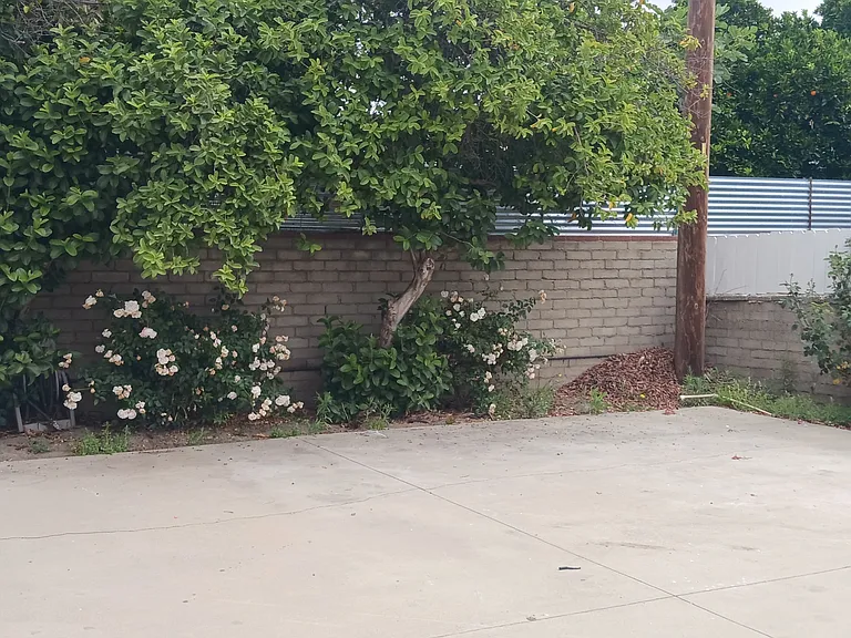 6723 1/2 Tyrone Ave #B — Photo 10