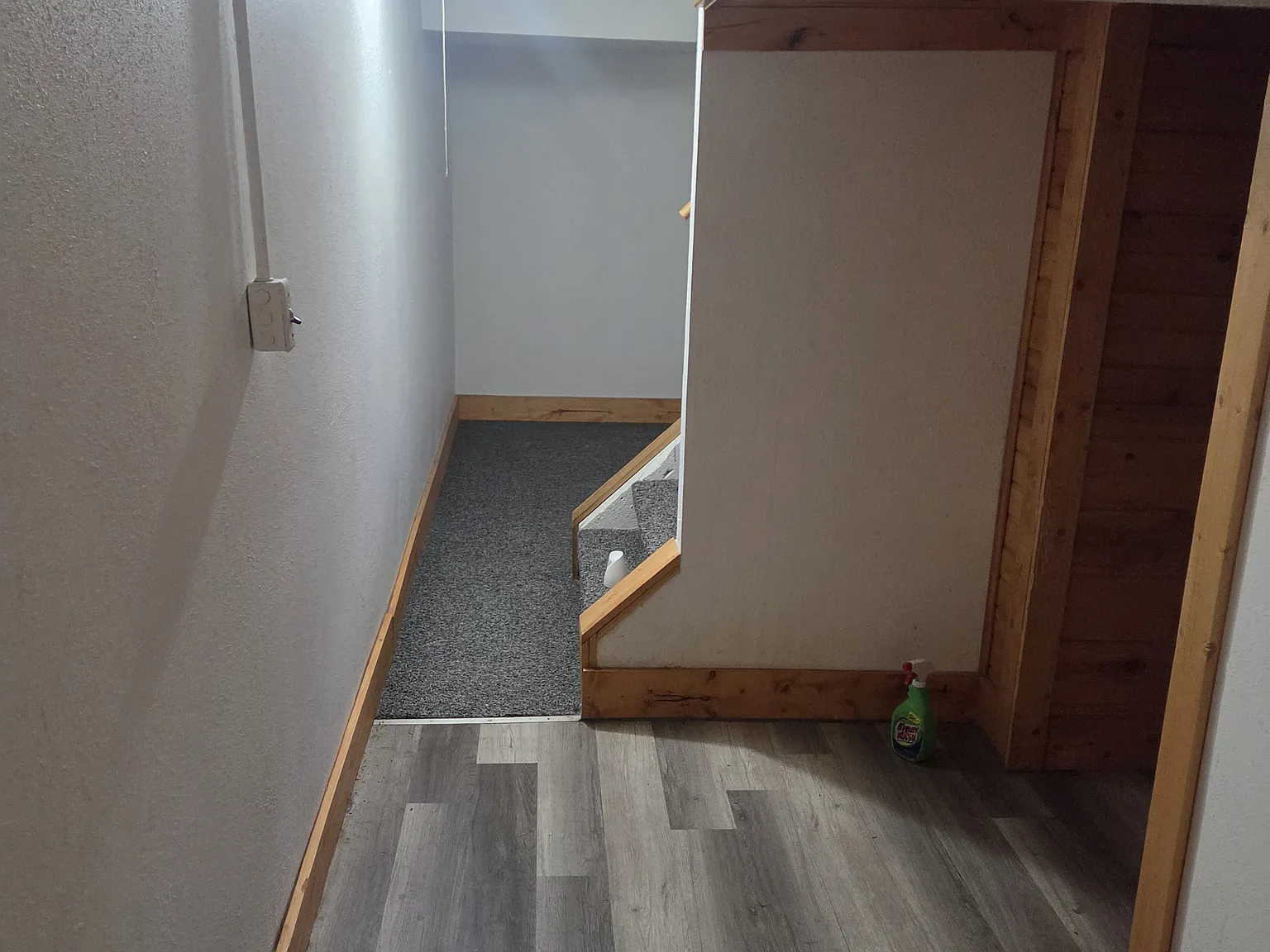 1 bed, $725 — Photo 2