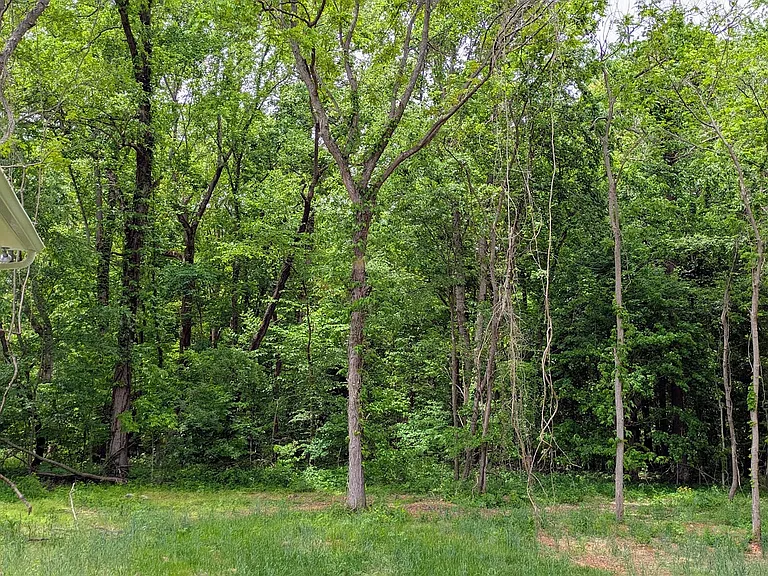 8032 Highway 49 E — Photo 8