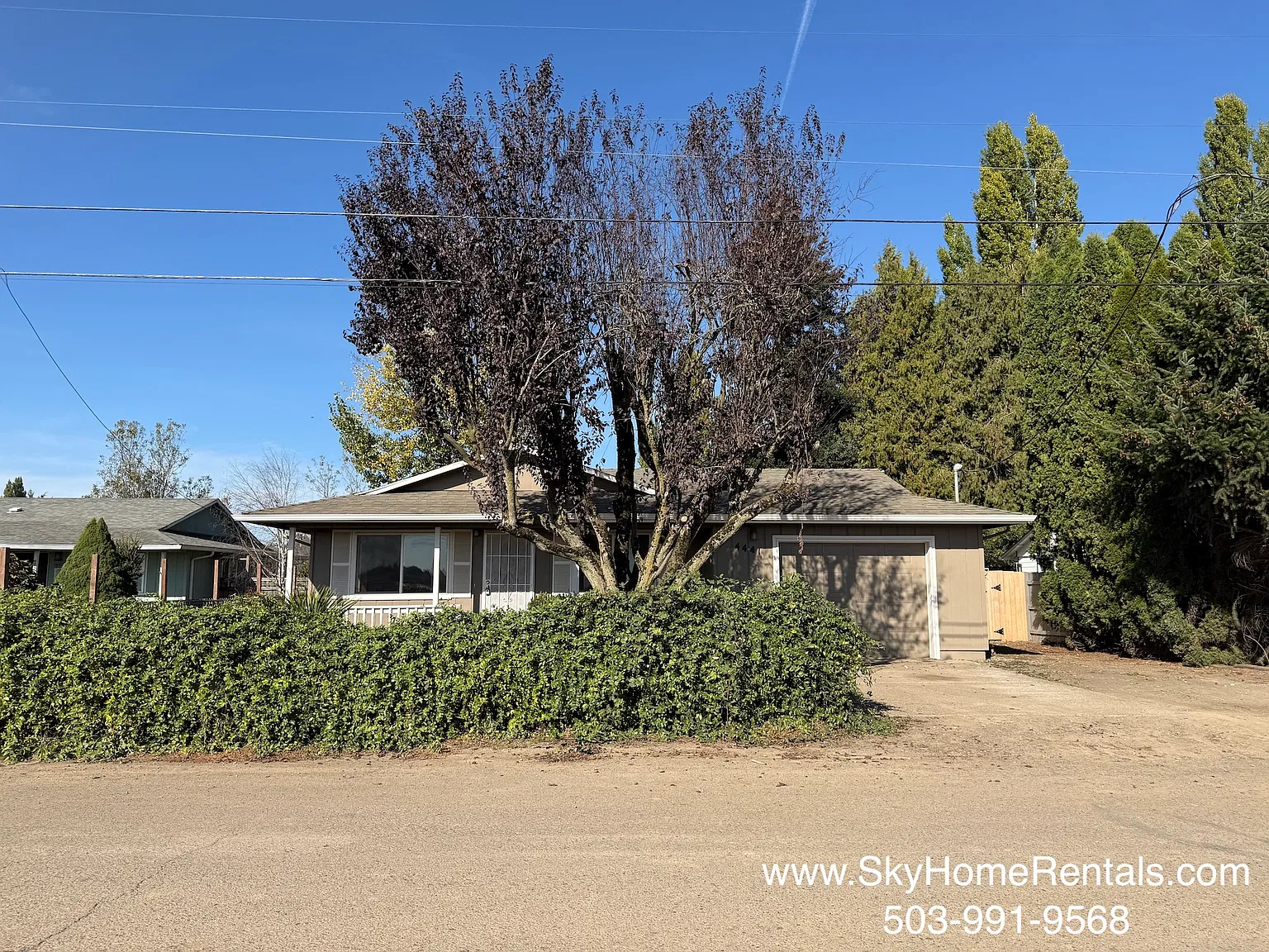 3 bed, 1.5 bath, 1100 sqft, $2,100 — Photo 3