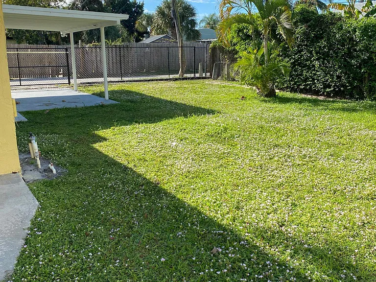 Backyard
