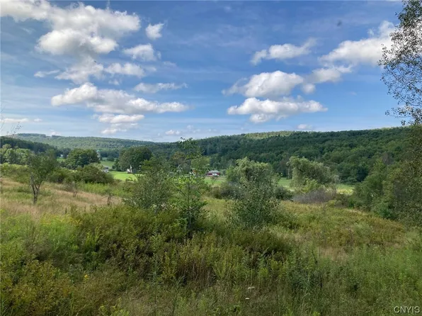 10484 County Highway 20, Masonville, NY 13804