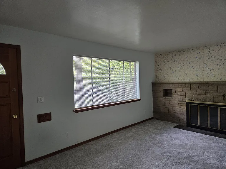 Living Room, Front entrance door to the left. Fireplace on the right.