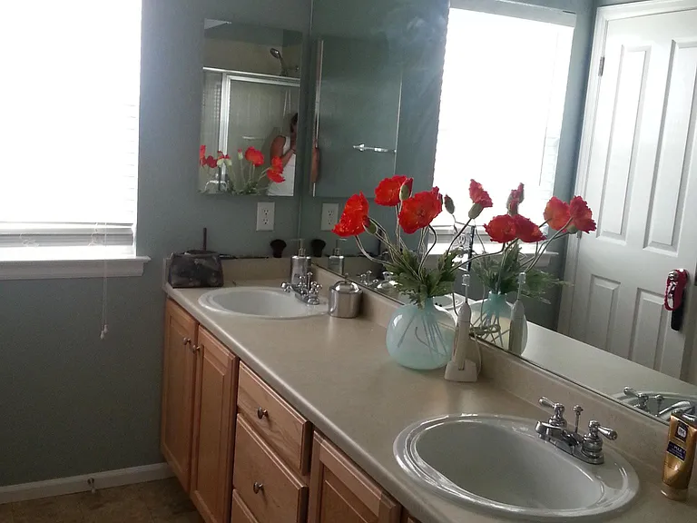 717 Bristle Pine Cir #D — Photo 15